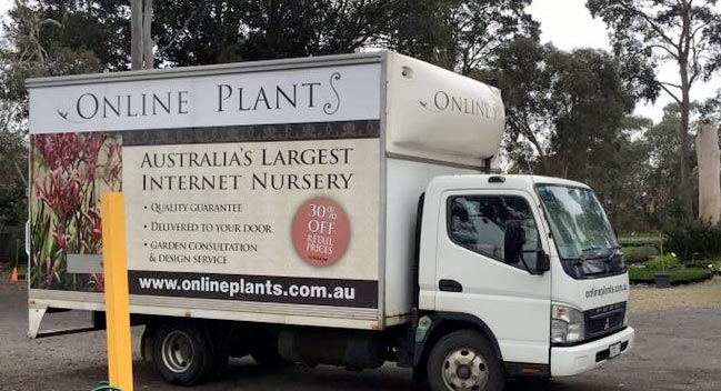 online plants delivery